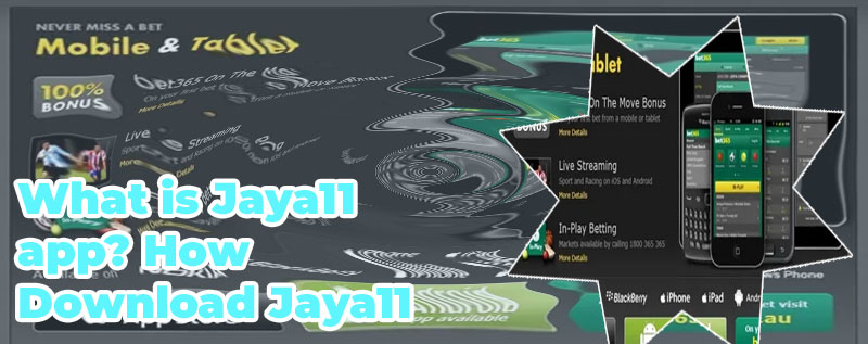 App baji bet android