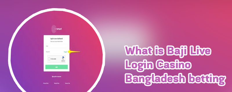 Baji bet login account login in