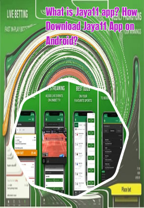 Download baji bet app data free